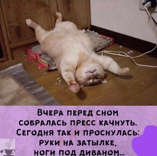 Уставший кот мем
