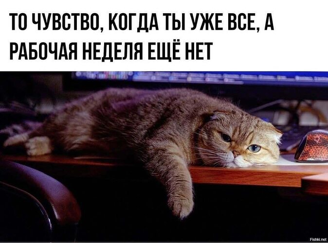 Я уже все закончила