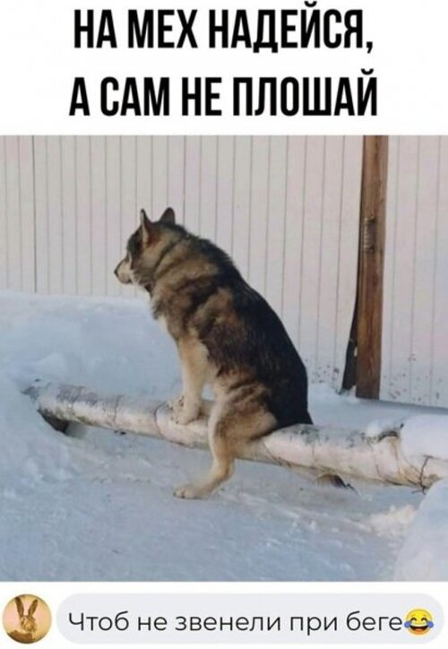 Курьезные мемы " 24Warez.ru - Эксклюзивные НОВИНКИ и РЕЛИЗЫ