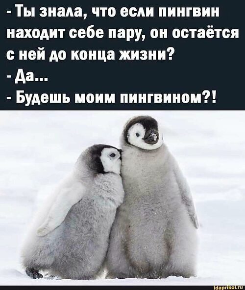 Дано высказывание