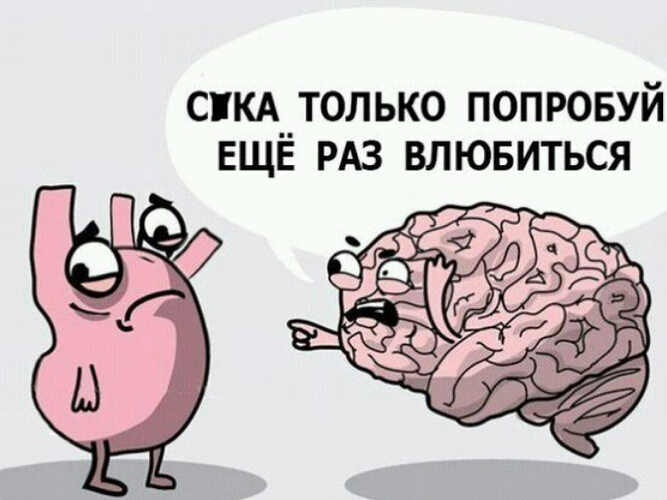 Что делать если мозг перестал соображать. Что делать если мозг перестал соображать