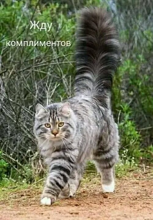 Сижу второе лицо. Сижу второе лицо