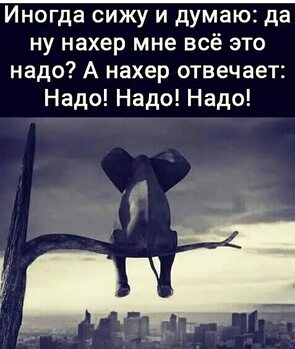 Здесь надо писать
