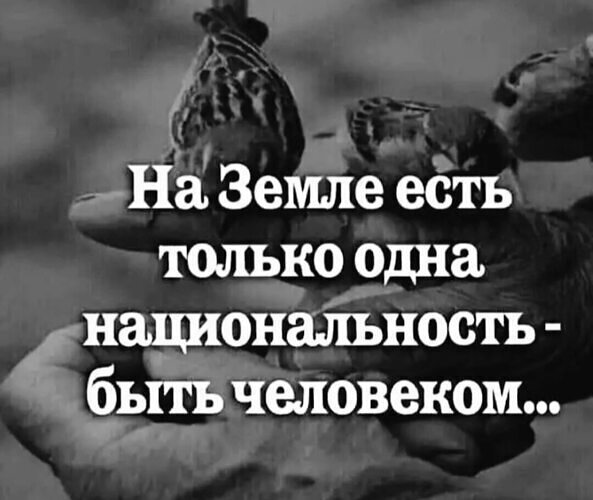 Принимать цитаты. Принимать цитаты