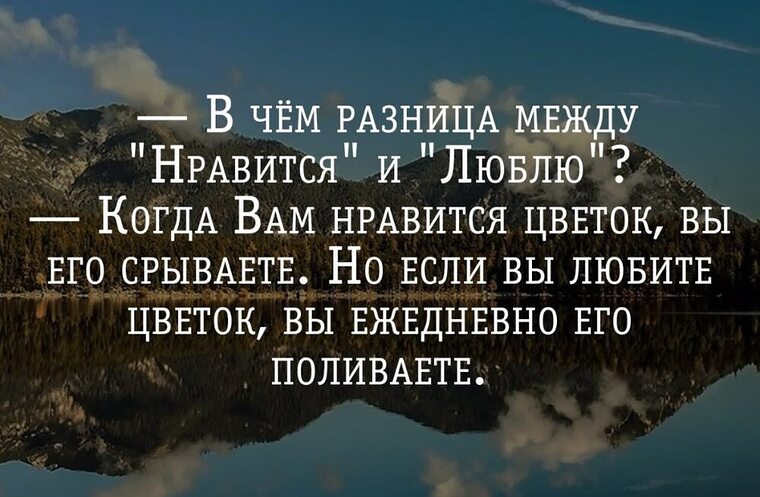 Понравилось и понравился разница. Разница между Нравится и люблю. 5 Умных мыслей цитаты. Цитаты между Нравится и люблю. Разница между Нравится и люблю Будда.