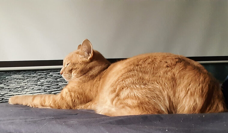 девушка в платье в пол. кристина кауфманн ножки. которого ставится запятая. сидя на полу запятая. модель кэтрин тимохина ножки.