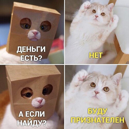 Скучно юмор