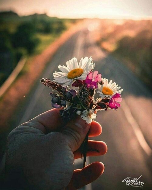 Обложка расставание. Любимые на небесах. Дышу тобой. Далекая любовь. Я буду жить как хочу мираж.