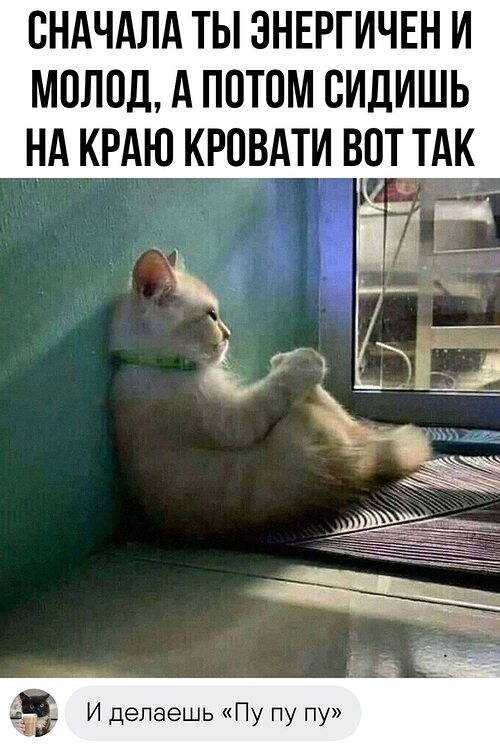 Я не умею считать сегодня все