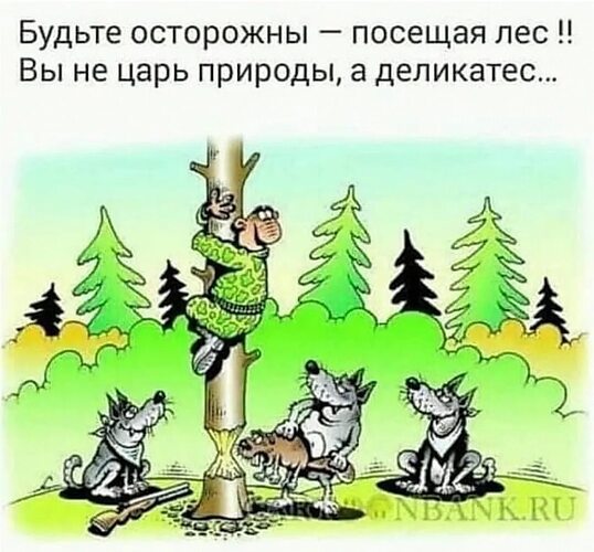 Вот как нужно набираться сил у природы гуляя лесом нагишом