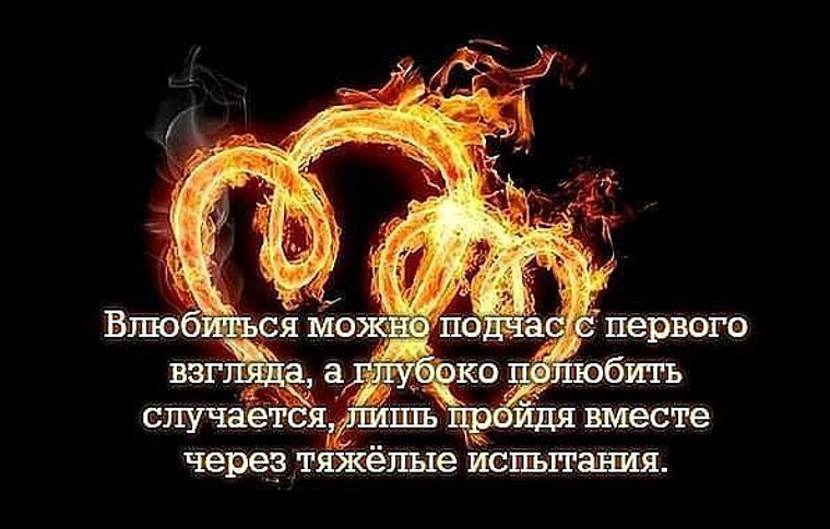 Купить книгу "Статистическая вероятность любви с первого взгляда", Дженнифер Сми