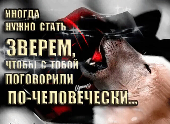 Картинки на тему люди прогонят зверя. Я стал зверем. Я стал зверем. Я стал зверем. Иногда нужно стать зверем чтобы с тобой заговорили по-человечески.