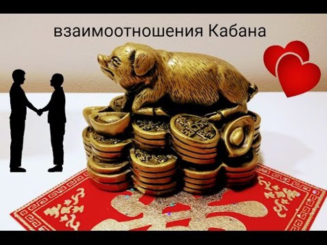 Совместимость свиньи женщины мужчины крыса. Совместимость свиньи женщины мужчины крыса