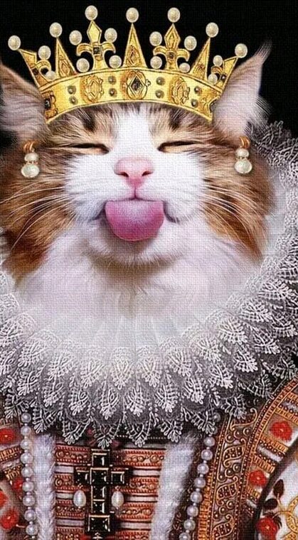 Chubby Cats Cats, Cute cats, Cat artwork