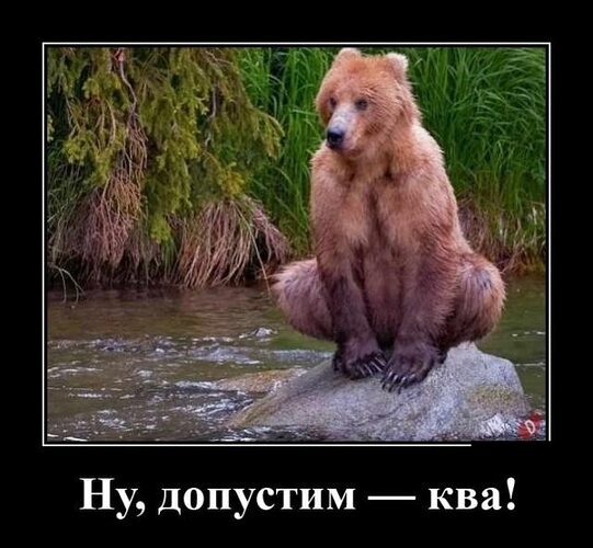 Ну допустим ква. Ну допустим есть. Мем ну допустим ква. Ну допустим есть. Ну предположим.