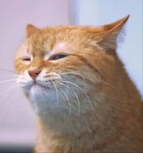 Зловещий мем. Мем да что ты такое несешь. Здесь вообще все просто так кроме денег. Тут вообще не то. Аксиома эскобара мем.