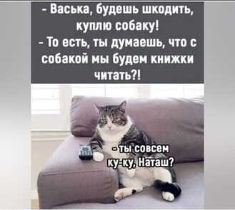 Смешные картинки с надписями