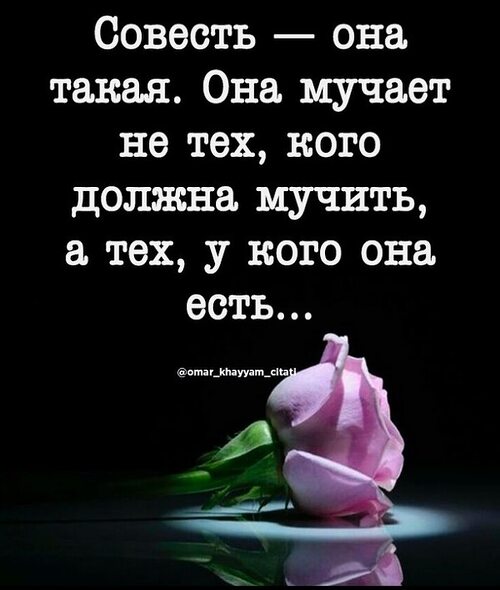 Тебе не быть лучше меня цитаты. Тебе не быть лучше меня цитаты