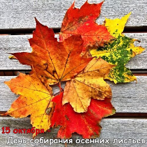 Осенние листья тема для поэтов