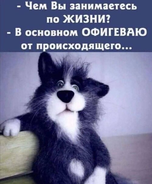 Улыбка открытка. Мое настроение самое лучшее. Картинки какое у тебя настроение. Хорошего солнечного дня и отличного настроения. Позитивчик для хорошего настроения.