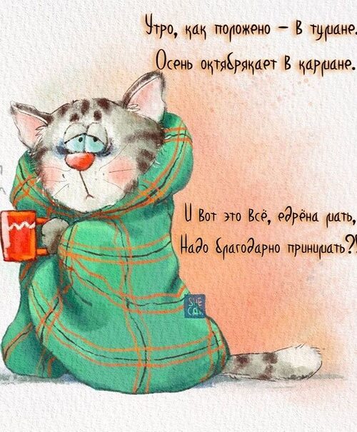 Посты с сайта lolkot.ru
