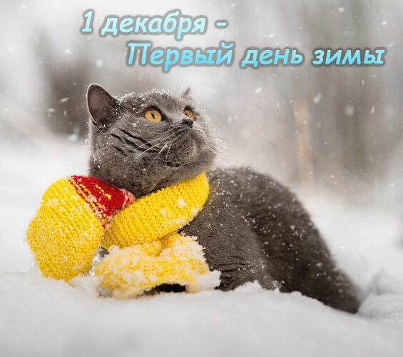 Картинки Поз Поздравления