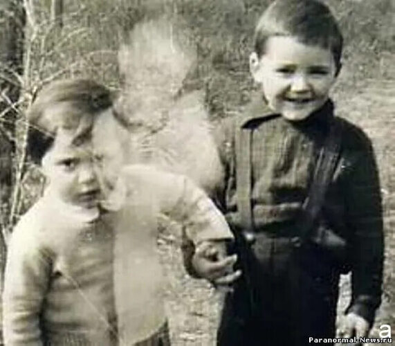 Не ее сын. Не ее сын