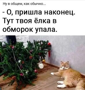 Пришли ее. Пришли мне фото. Я пришел сюда. Сарказм картинки смешные. Принзжай ел мнн в гости.