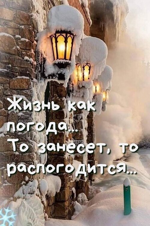 Нежные Розы Картинки