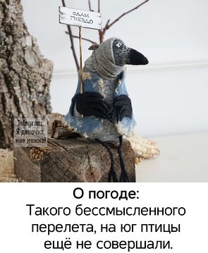 Не летает не поет и не птица а клюет