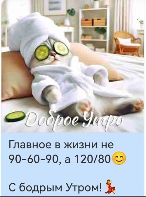 Спокойной ночи моя маленькая девочка мем Лента по интересам - Животные - 4463899 - Tabor.ru