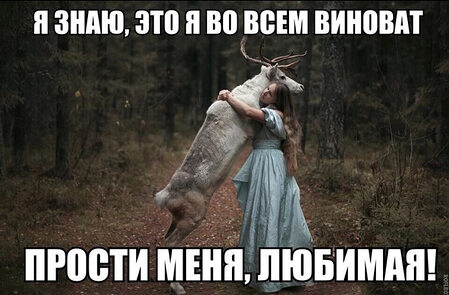 5078952_295x460.jpg