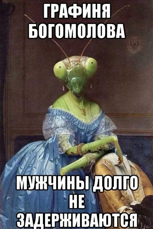 Самка стала в угол Самка стала в угол