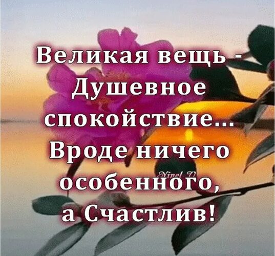 Вроде брюнетка ничего особенного Вроде брюнетка ничего особенного