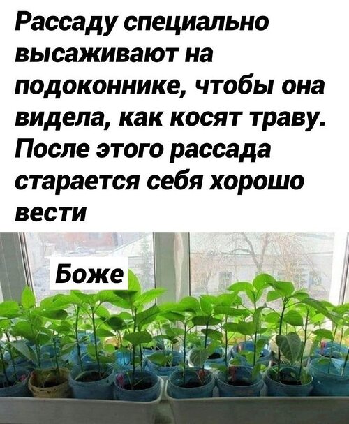 Картинка загружается...