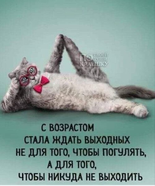 Как не выходной так новый парнишка в сетях Как не выходной так новый парнишка в сетях