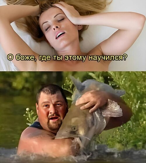 Но на самом деле озорные вертихвостки сбежали от мужей Но на самом деле озорные вертихвостки сбежали от мужей