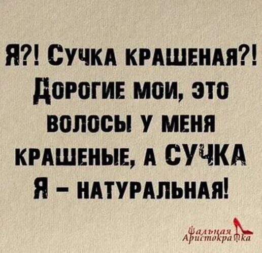 Сучка покорит всех Сучка покорит всех