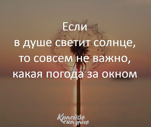 Мощный золотой дождик ну улице был для красотки неожиданным но не смотря на это она охотно его приняла Мощный золотой дождик ну улице был для красотки неожиданным но не смотря на это она охотно его приняла