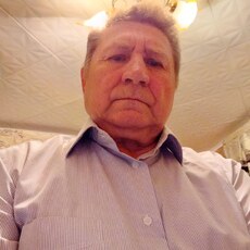 Фотография мужчины Владимир Шкилев, 68 лет из г. Георгиевск