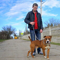 Фотография мужчины Олег, 34 года из г. Раздольное