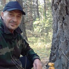 Фотография мужчины Владимир, 69 лет из г. Куртамыш