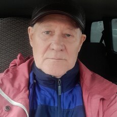 Фотография мужчины Владимир, 70 лет из г. Кемерово