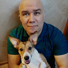 Фотография мужчины Владимир, 45 лет из г. Электрогорск