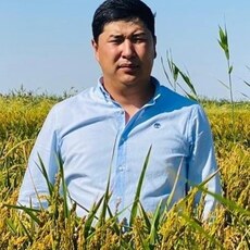 Фотография мужчины Абай, 35 лет из г. Кызылорда