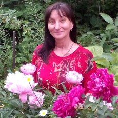 Фотография девушки Елена, 62 года из г. Новошахтинск