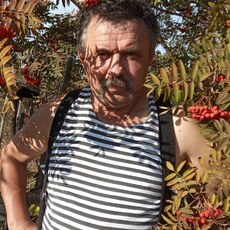 Фотография мужчины Сергей, 64 года из г. Новоалтайск