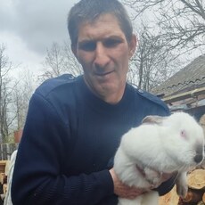 Фотография мужчины Владимир, 45 лет из г. Бобруйск