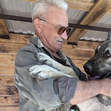 Фотография мужчины Anatoliy, 66 лет из г. Губкин