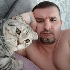 Фотография мужчины Алексей, 44 года из г. Курган